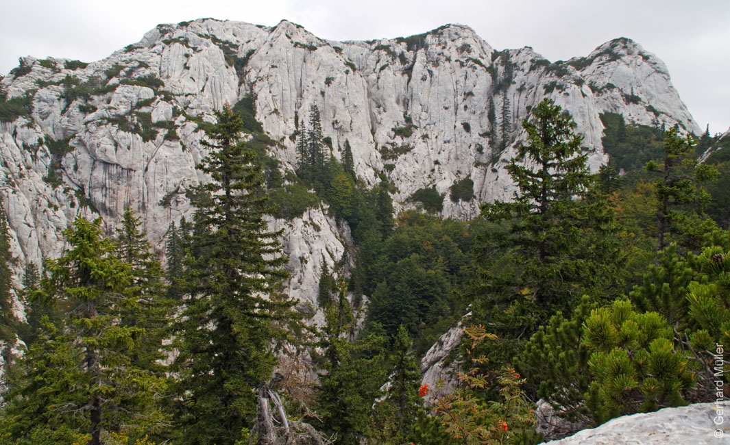 Rab 2011_03_Velebit_068