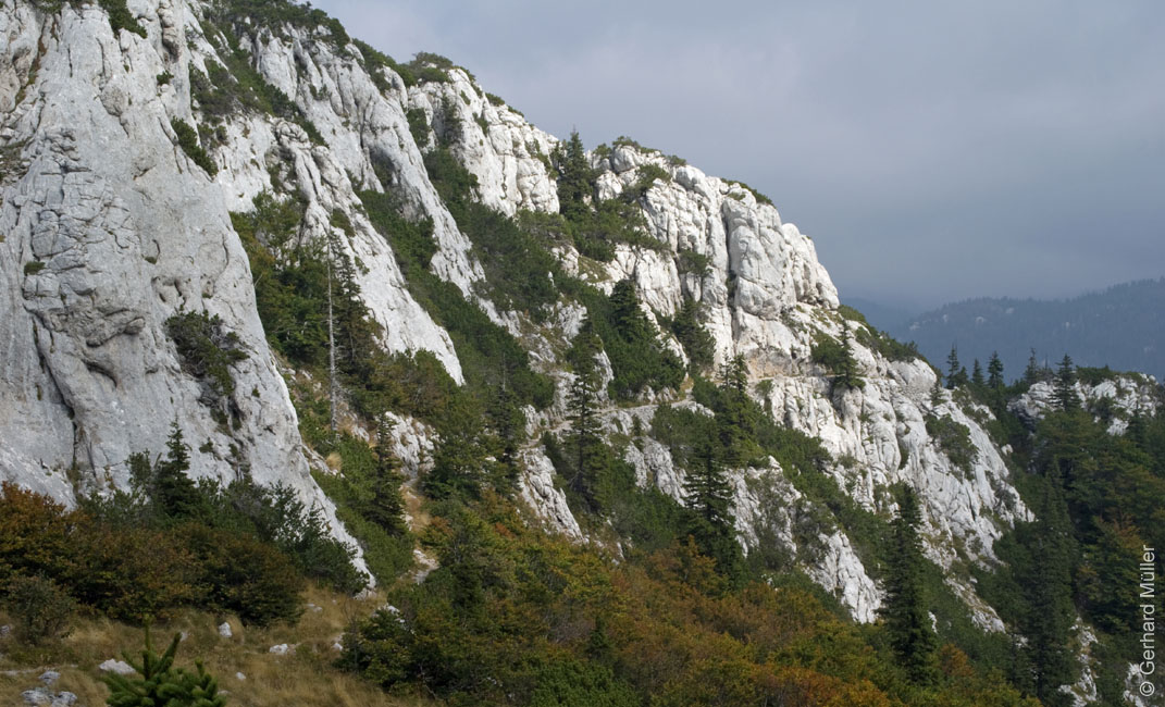 Rab 2011_03_Velebit_073