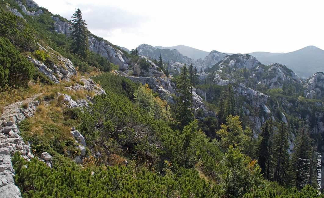 Rab 2011_03_Velebit_076