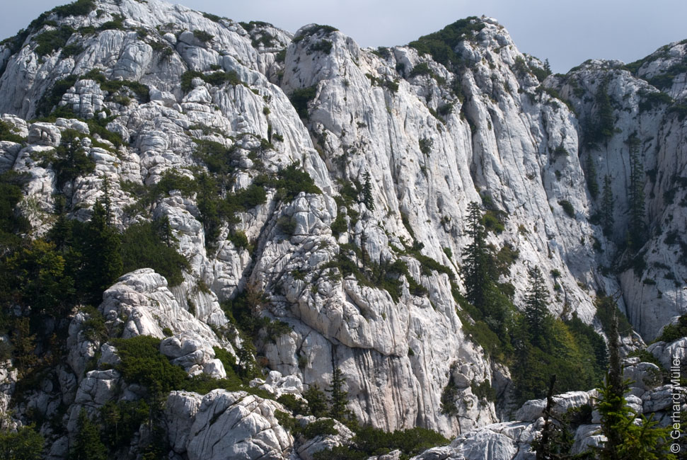 Rab 2011_03_Velebit_078