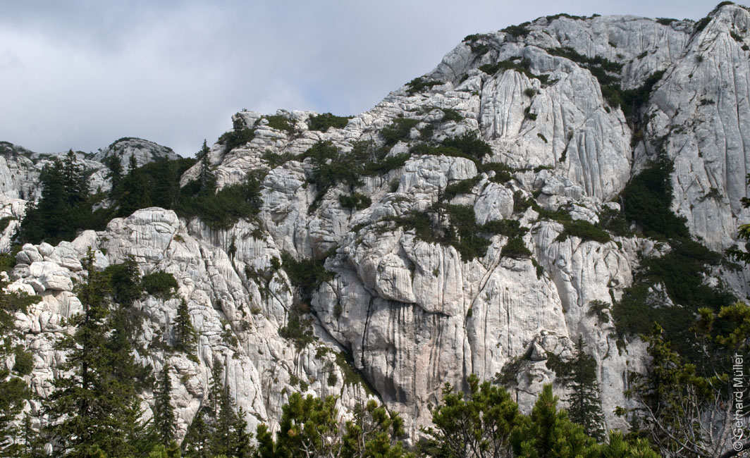 Rab 2011_03_Velebit_084