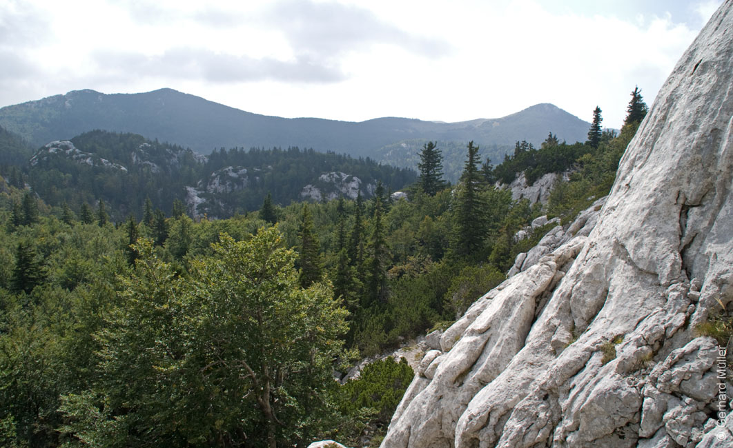 Rab 2011_03_Velebit_087