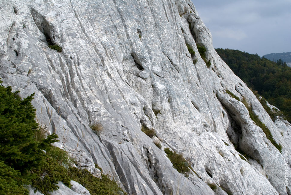 Rab 2011_03_Velebit_088