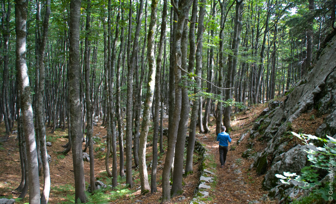 Rab 2011_03_Velebit_091