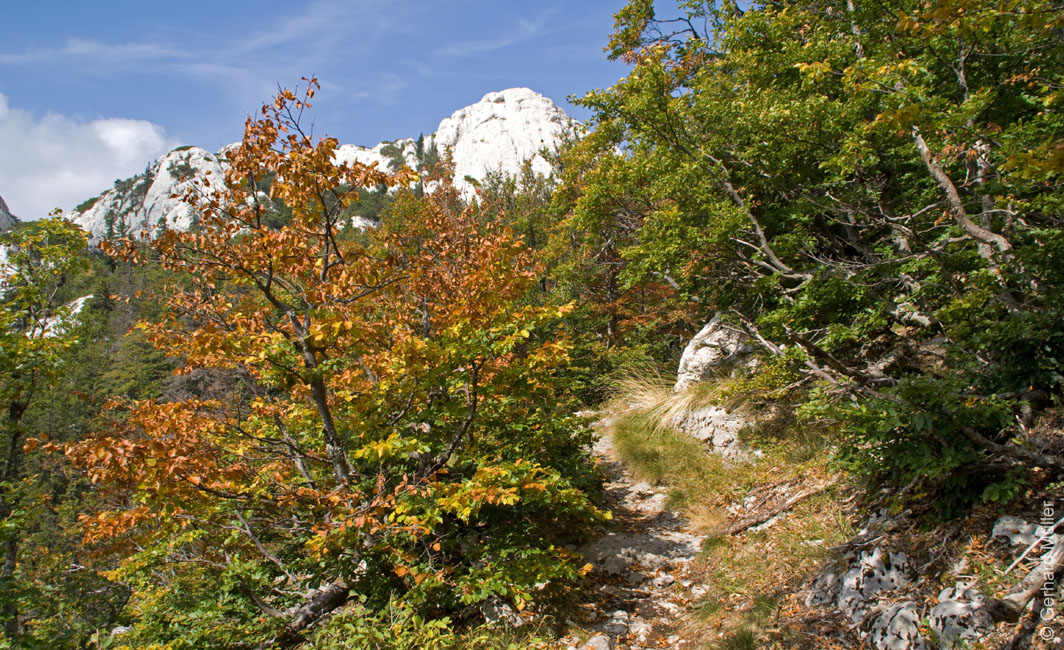 Rab 2011_03_Velebit_092