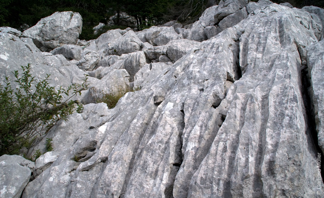 Rab 2011_03_Velebit_094