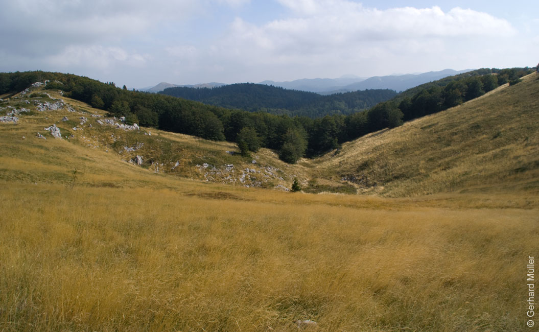 Rab 2011_03_Velebit_098
