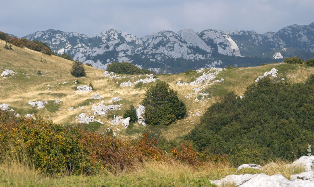 Rab 2011_03_Velebit_102