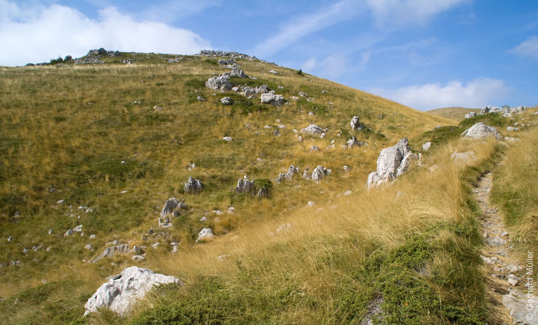 Rab 2011_03_Velebit_105