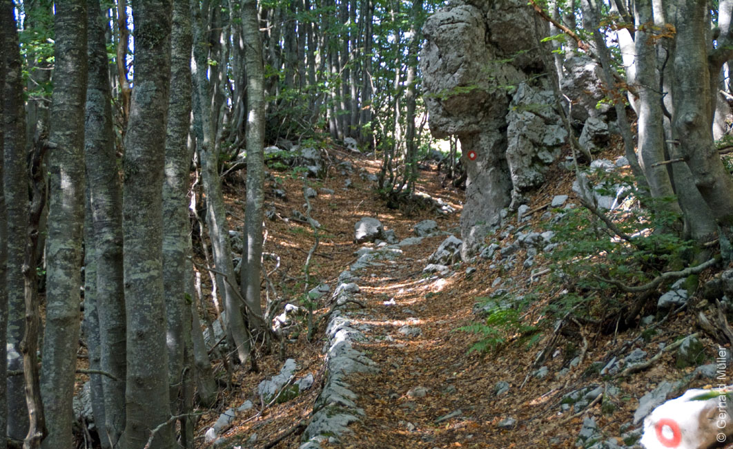 Rab 2011_03_Velebit_106