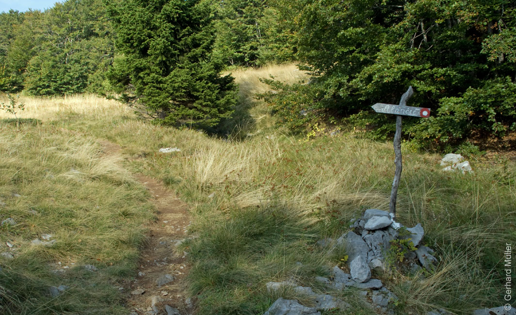 Rab 2011_03_Velebit_108