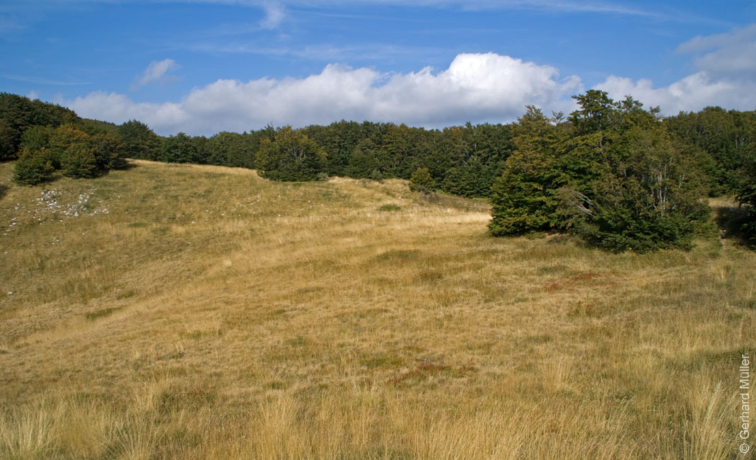 Rab 2011_03_Velebit_110