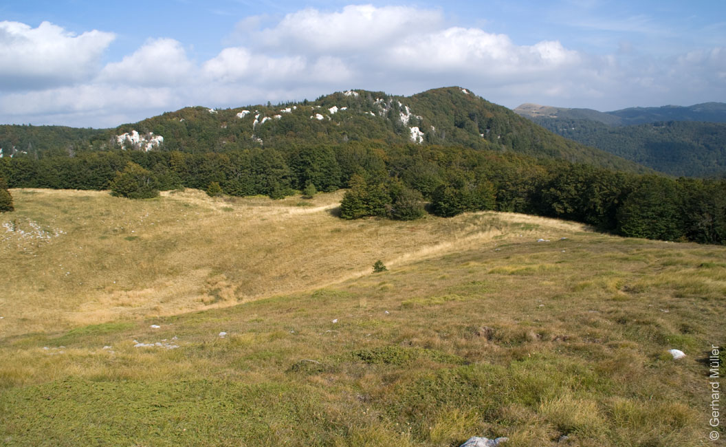 Rab 2011_03_Velebit_111