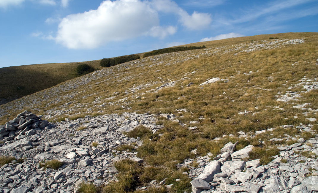 Rab 2011_03_Velebit_112