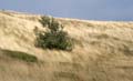Rab 2011_03_Velebit_026