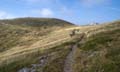Rab 2011_03_Velebit_027