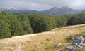 Rab 2011_03_Velebit_030
