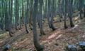 Rab 2011_03_Velebit_034
