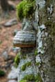 Rab 2011_03_Velebit_035