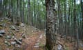 Rab 2011_03_Velebit_036