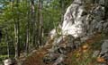 Rab 2011_03_Velebit_042