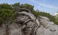 Rab 2011_03_Velebit_060
