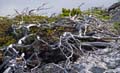Rab 2011_03_Velebit_061
