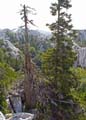 Rab 2011_03_Velebit_063