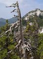 Rab 2011_03_Velebit_065