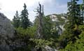 Rab 2011_03_Velebit_069