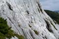 Rab 2011_03_Velebit_088