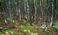 Rab 2011_03_Velebit_089