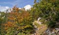Rab 2011_03_Velebit_092