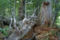 Rab 2011_03_Velebit_093