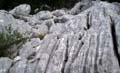 Rab 2011_03_Velebit_094
