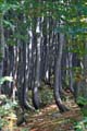 Rab 2011_03_Velebit_096