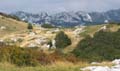 Rab 2011_03_Velebit_102