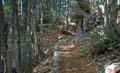 Rab 2011_03_Velebit_106