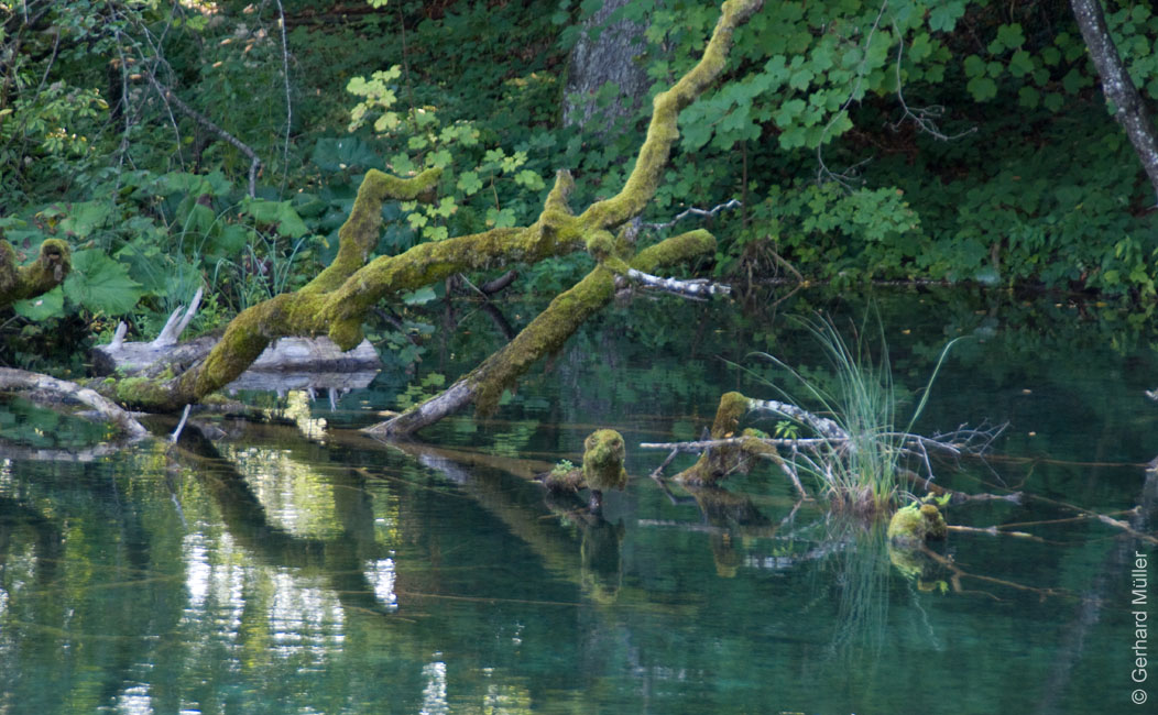 Rab 2011_04_Plitvice_004