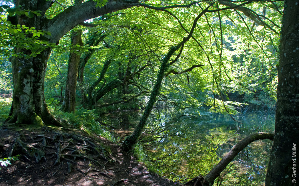 Rab 2011_04_Plitvice_008