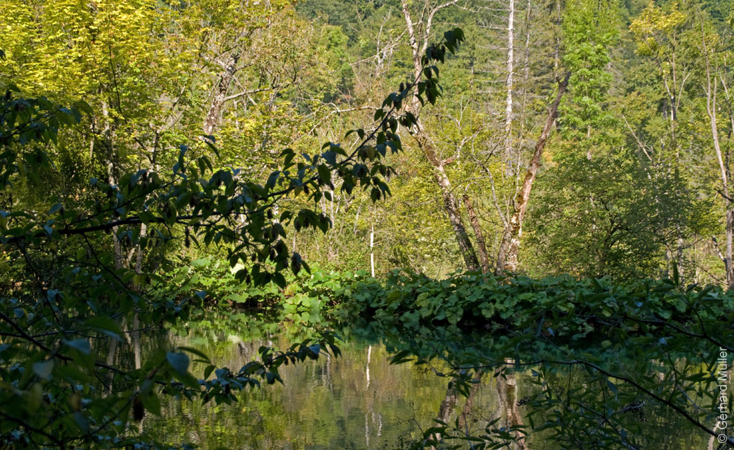 Rab 2011_04_Plitvice_012