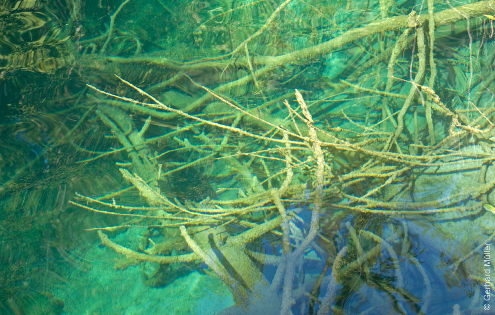 Rab 2011_04_Plitvice_016