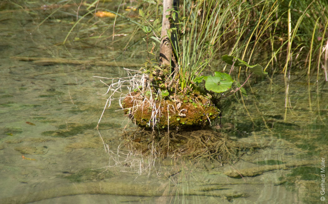 Rab 2011_04_Plitvice_019