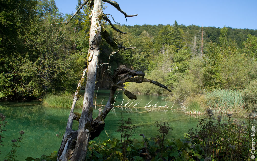 Rab 2011_04_Plitvice_024