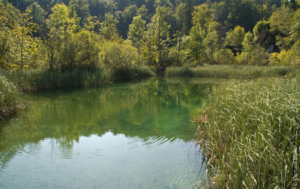 Rab 2011_04_Plitvice_032