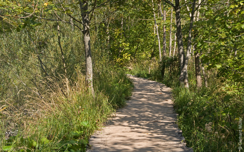 Rab 2011_04_Plitvice_034