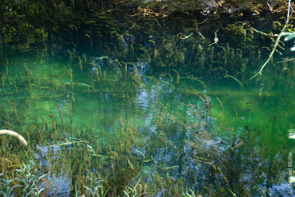 Rab 2011_04_Plitvice_035