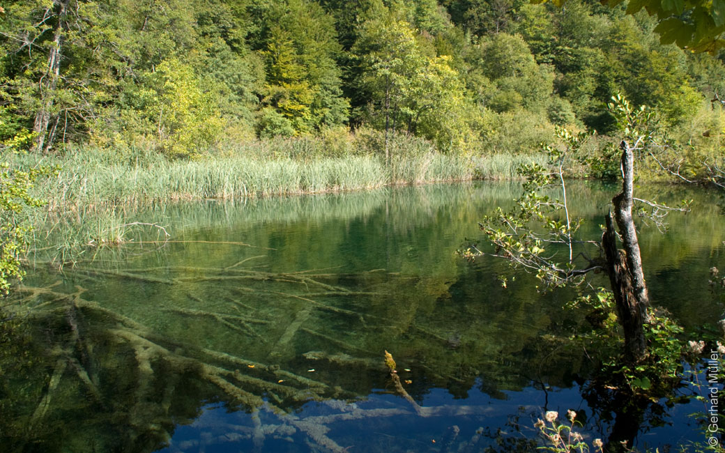Rab 2011_04_Plitvice_038
