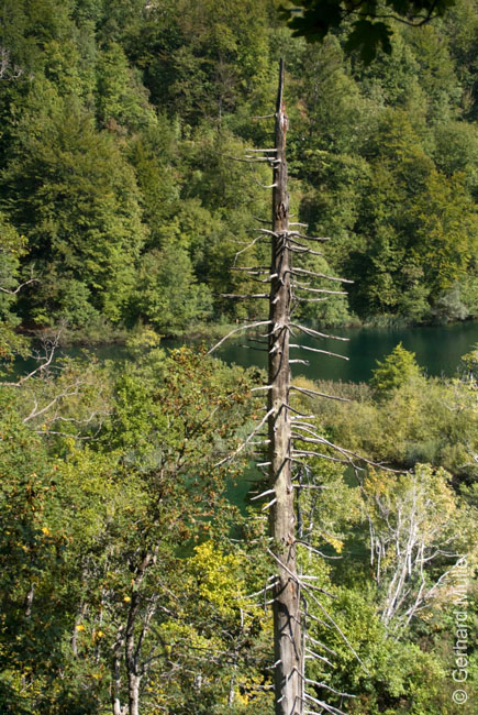Rab 2011_04_Plitvice_043