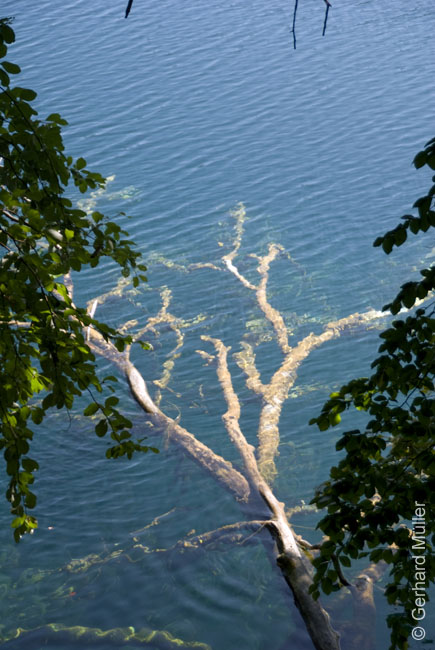 Rab 2011_04_Plitvice_048